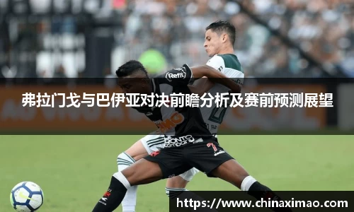 弗拉门戈与巴伊亚对决前瞻分析及赛前预测展望